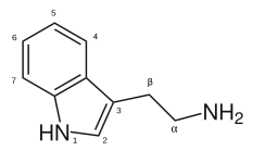 langfr-1024px-Tryptamine_structure.svg.png