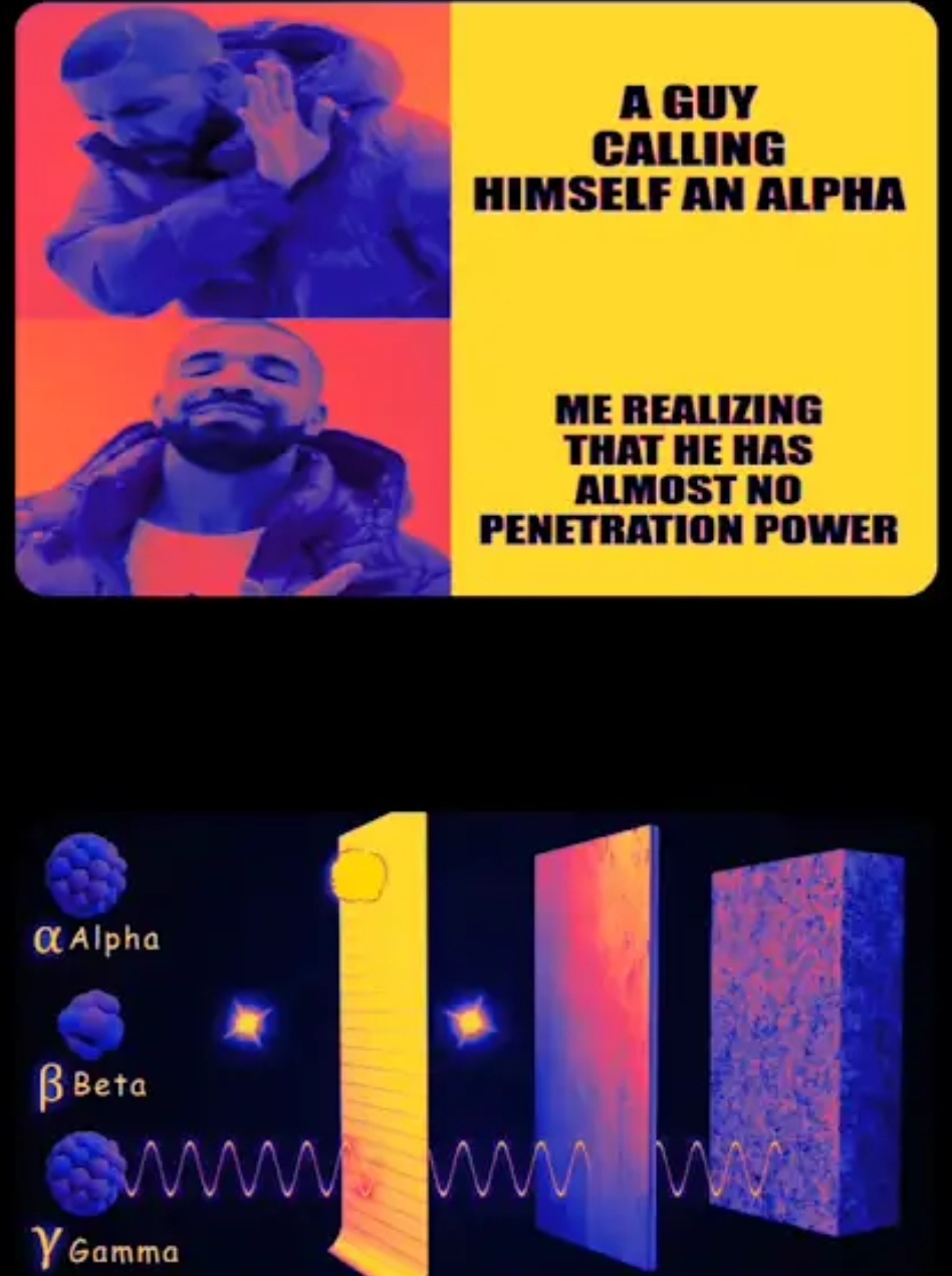 1000031990.jpg