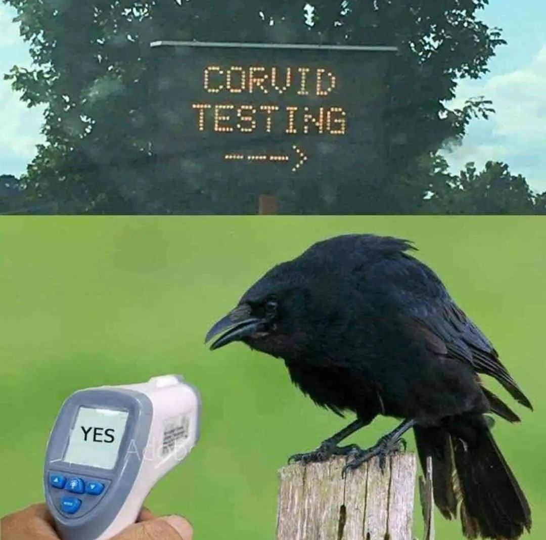 1000042145.jpg