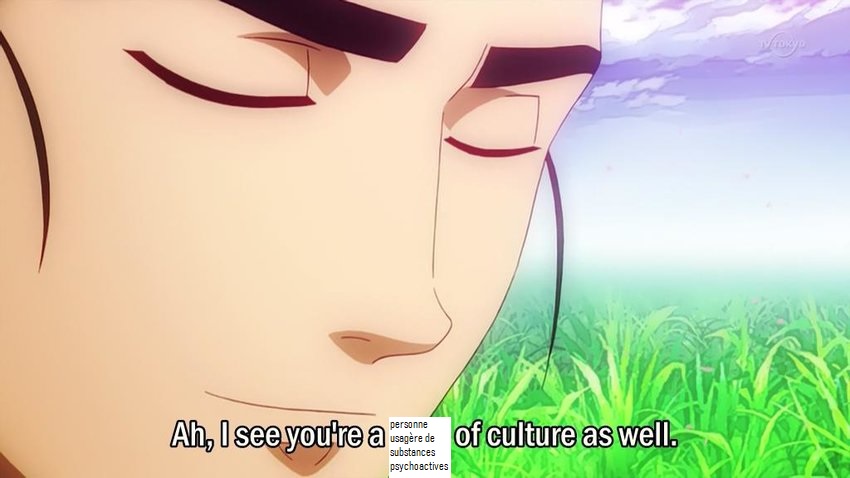 ah I see you're a personne usagère de substances psychoactives of culture as well.jpg