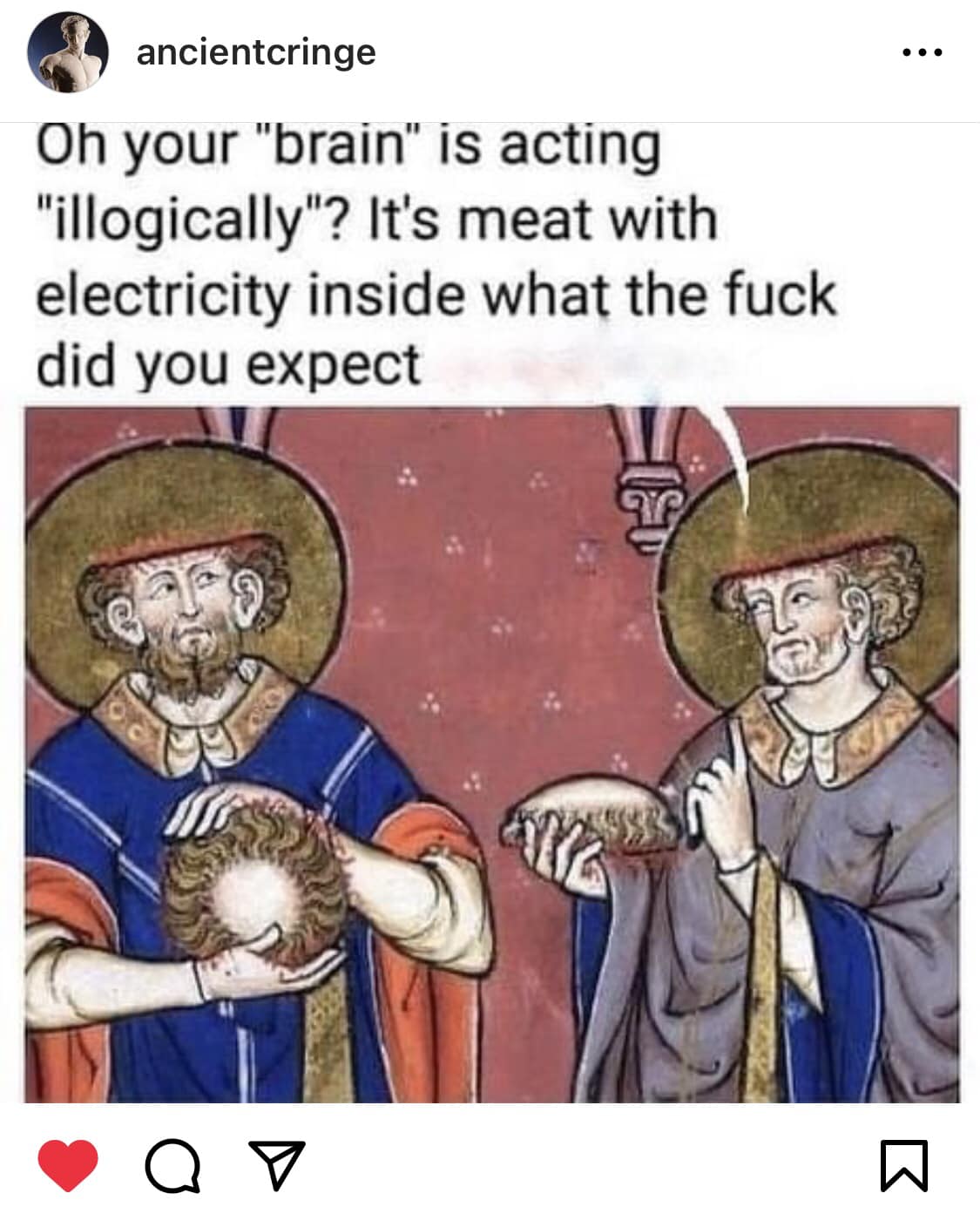cervo.jpg
