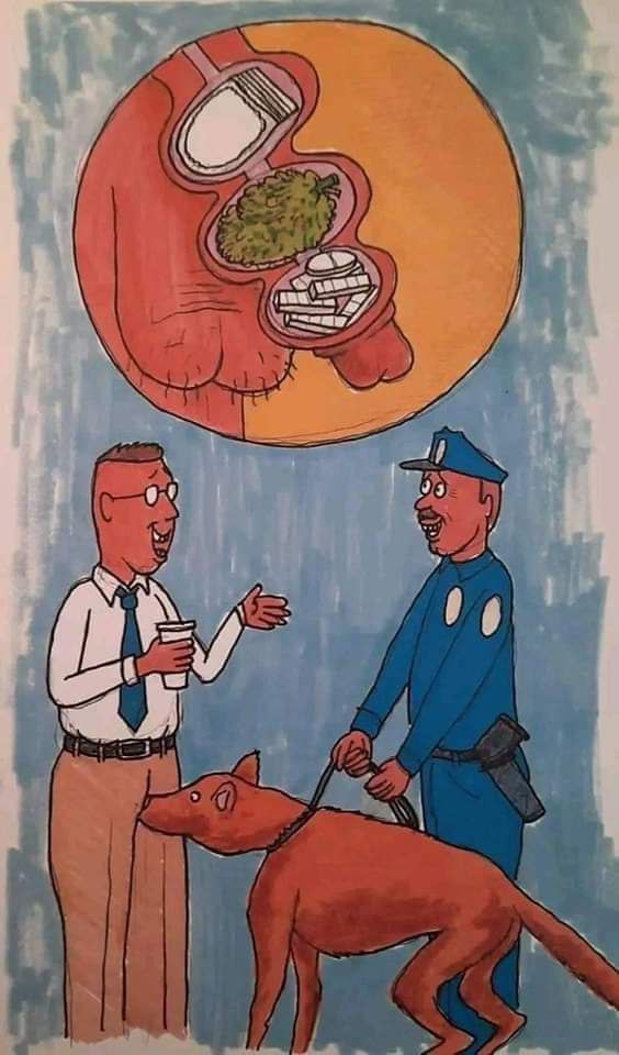 chien_drogue_bite.jpg