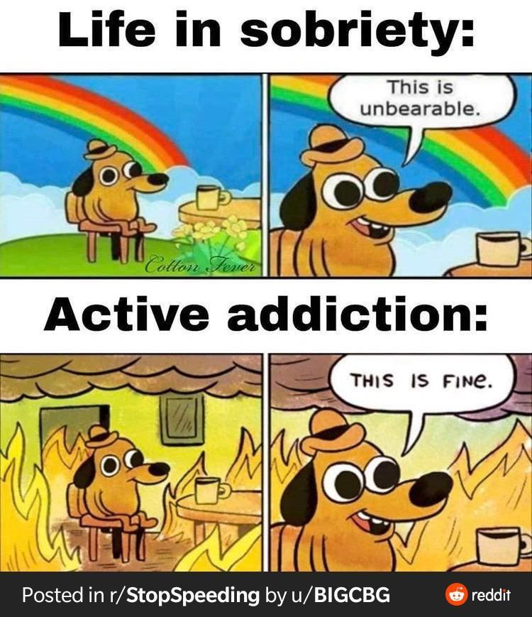 eRi5l0I.jpeg