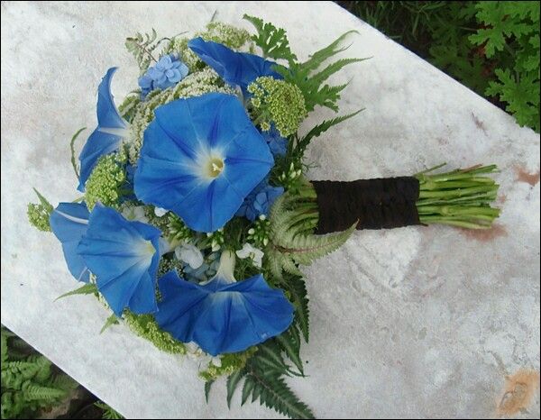 morning glory bouqet.jpg
