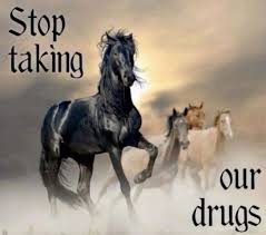 stop taking our drugs - ketamine is for horses.jpg