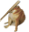 Bonk !