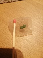 Microdot 250ug.jpg