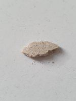 20220727_201004.jpg