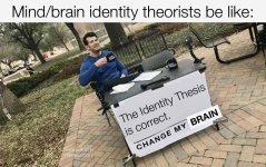 Mind-brain identity theorists be like - change my BRAIN.jpg