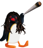 pingu_stoned.png