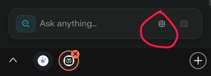 1000037705.jpg