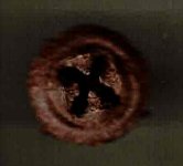 cruciforme.jpg