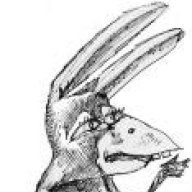 Donkey Bird