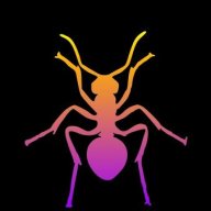 fourmis87