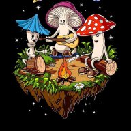 shroomy48