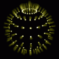 neonoctafish