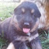pitachok