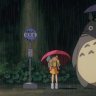 ToToro