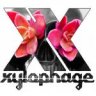 Xylophage