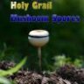 holygrailmushroomspores
