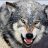 Wolfyy